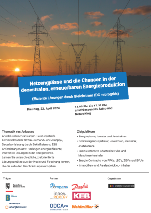 energie-cluster.ch – Netzengpässe und die Chancen in der dezentralen, erneuerbaren Energieproduktion